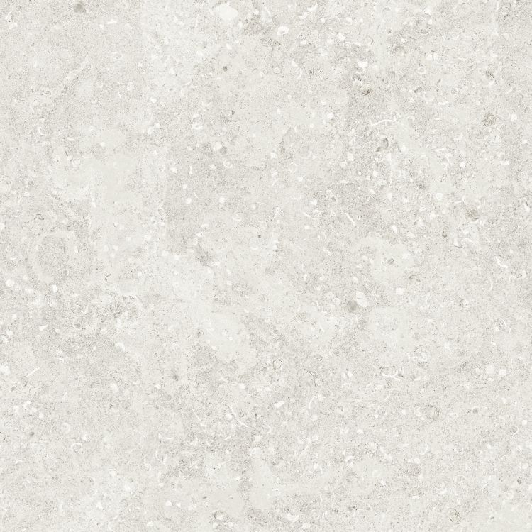 Sea Luster Bianca Matte 48 x 48